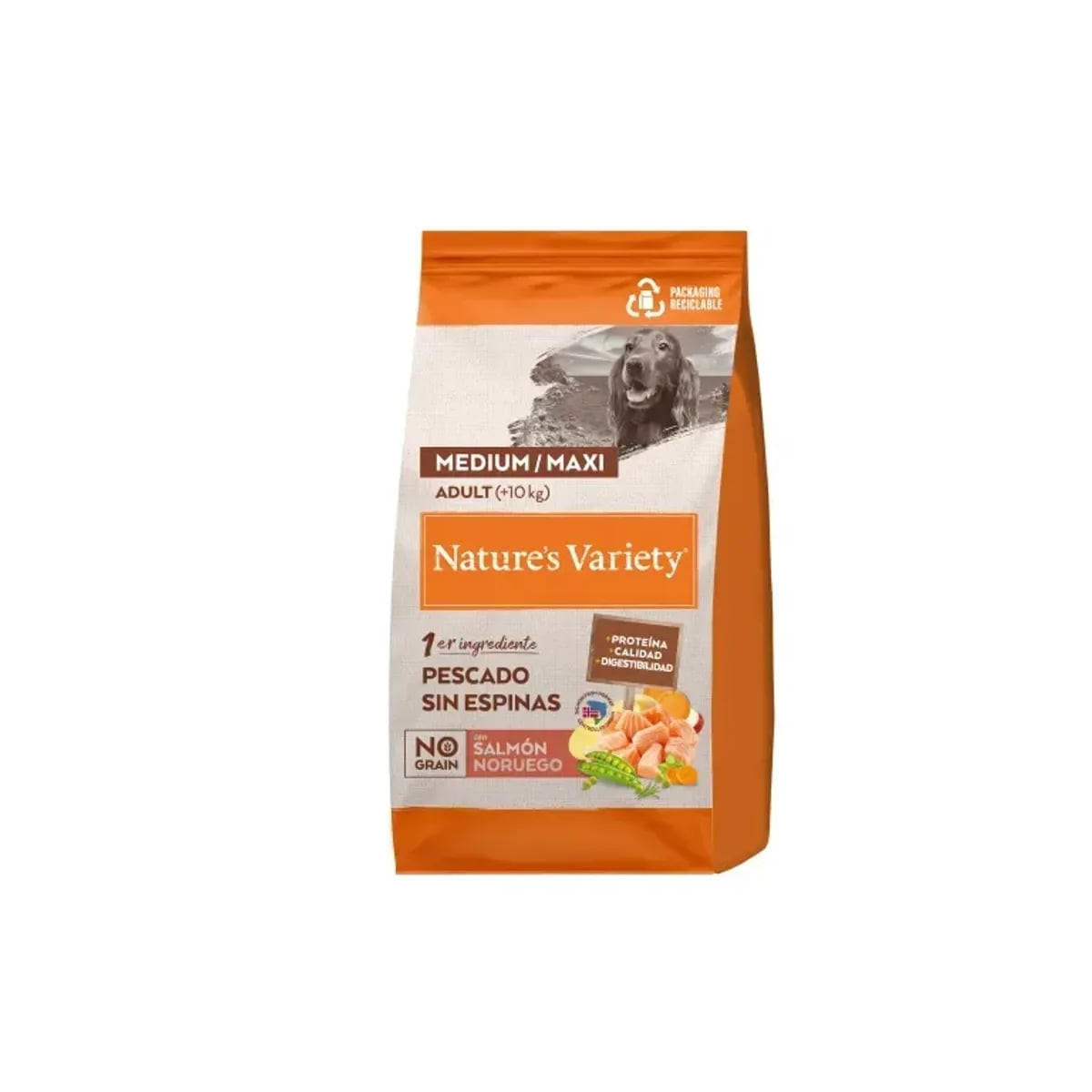 Nature's Variety Croquettes Chien Adulte Saumon 3kg - Sans Céréales