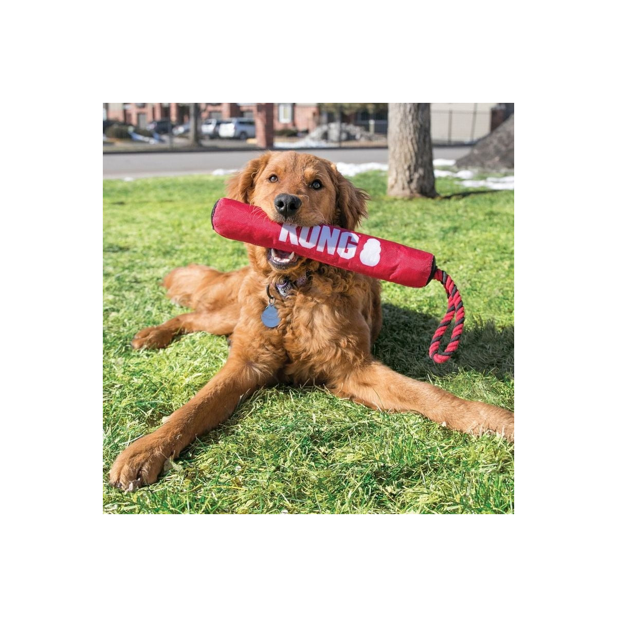 Jouet KONG Stick : Tir à la corde interactif pour chien 7-16 kg