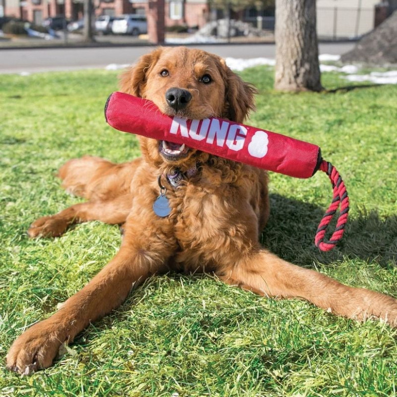 Jouet KONG Stick : Tir à la corde interactif pour chien 7-16 kg
