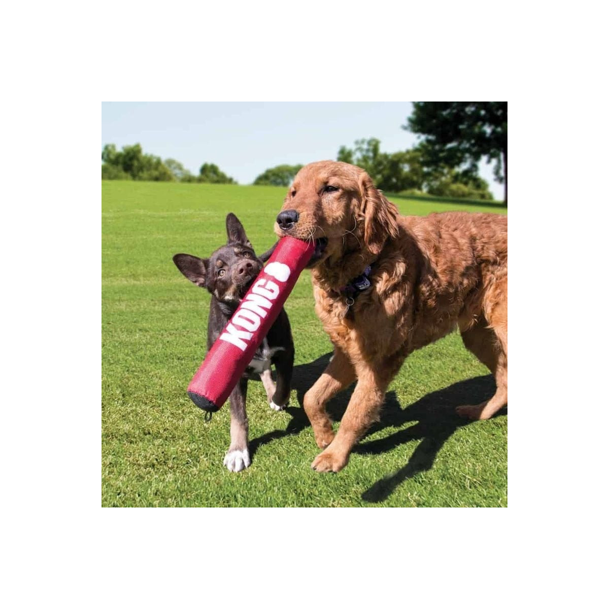 KONG Stick M : jouet durable, sons stimulants pour chiens actifs