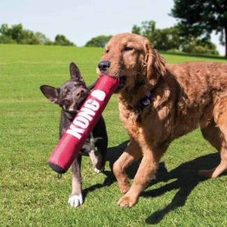 KONG Stick M : jouet durable, sons stimulants pour chiens actifs