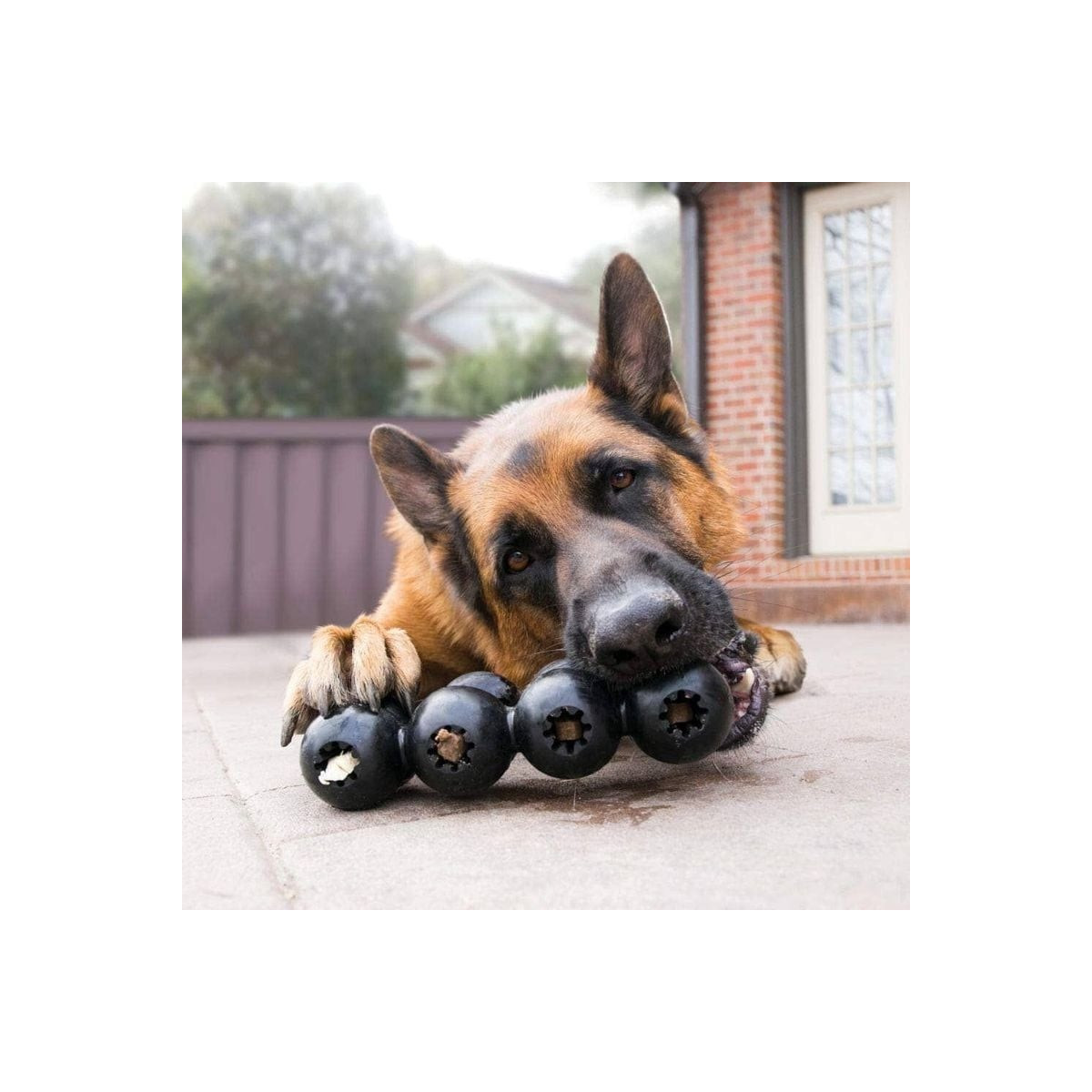 Jouet KONG Extreme : Distributeur os friandises pour chien