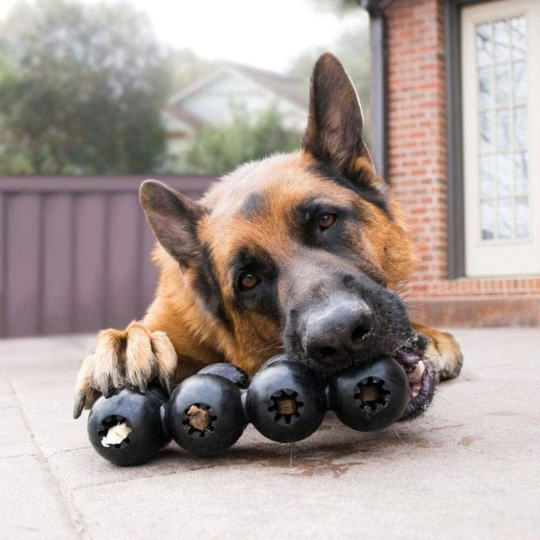 Jouet KONG Extreme : Distributeur os friandises pour chien