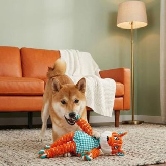 Jouet KONG Renard : Corde & 2 couineurs - Chien ≤16kg