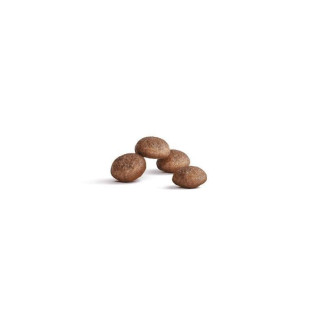 Royal Canin Senior 11+ ans : Croquettes chat stérilisé 2 kg