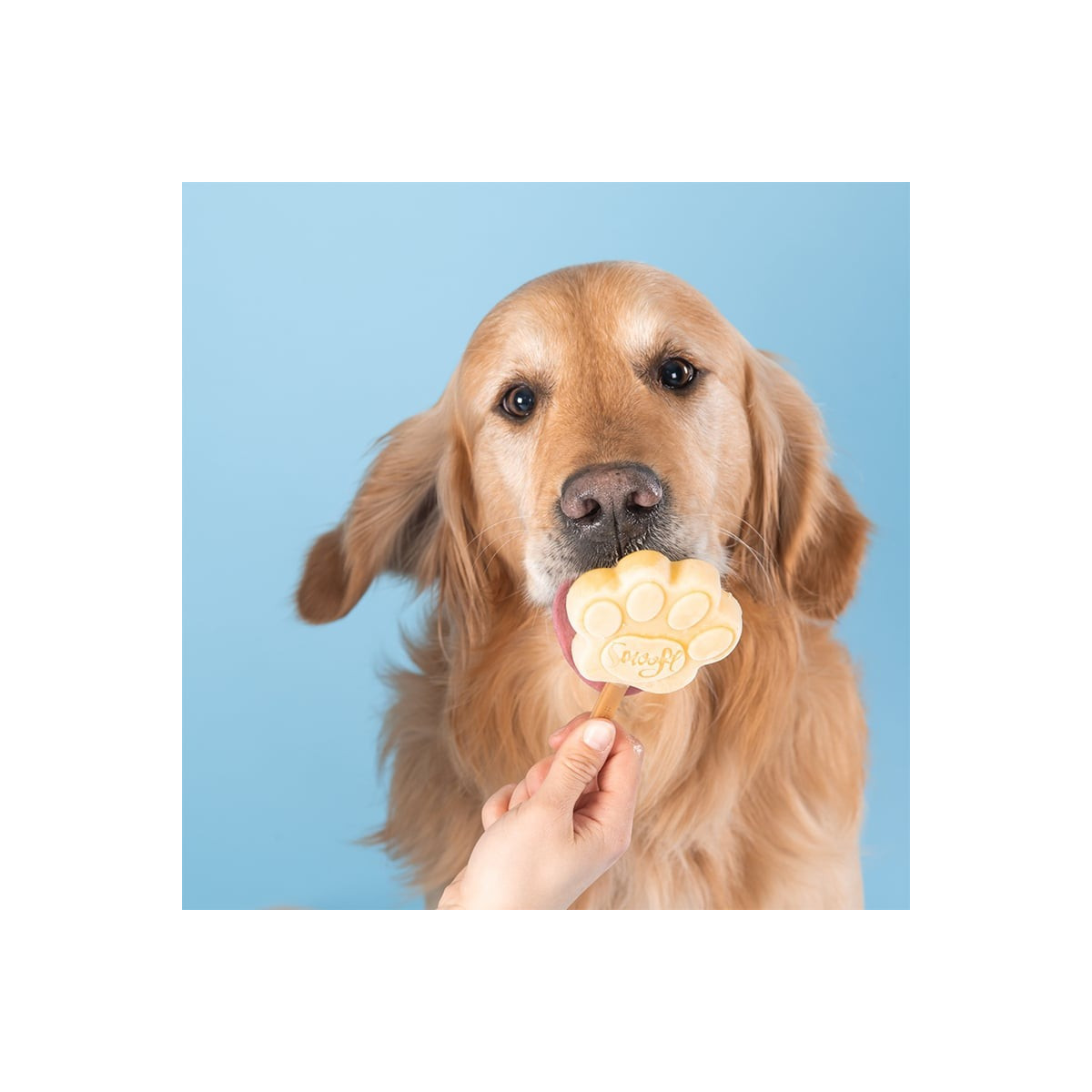 Smoofl bâtonnets glace beurre cacahuète chien - sans lactose