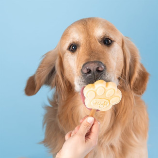 Smoofl bâtonnets glace beurre cacahuète chien - sans lactose