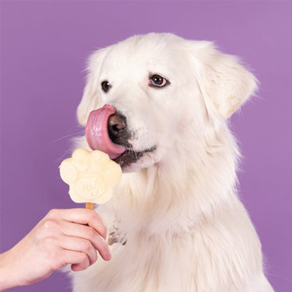Smoofl Glace Banane Chien - Bâtonnets Rafraîchissants Sans Lactose
