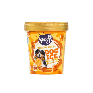 Bâtonnets Caramel Smoofl - Glace Sans Lactose pour Chien