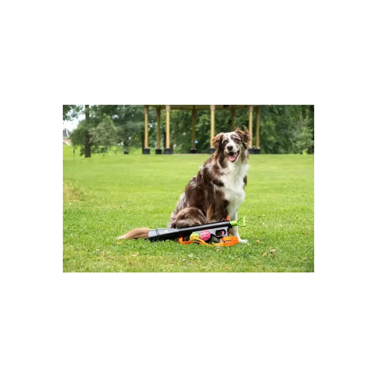 Lance-balles Dog Comets Bazooka : 20m de portée, 9 réglages, 2 balles