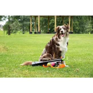 Lance-balles Dog Comets Bazooka : 20m de portée, 9 réglages, 2 balles