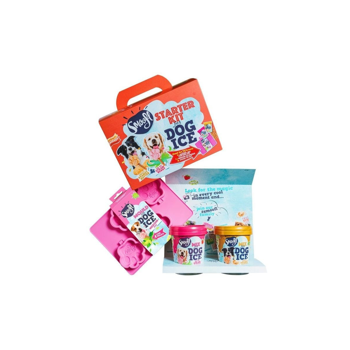 Kit Smoofl Glaces Chien Moyen : 2 saveurs + moule patte