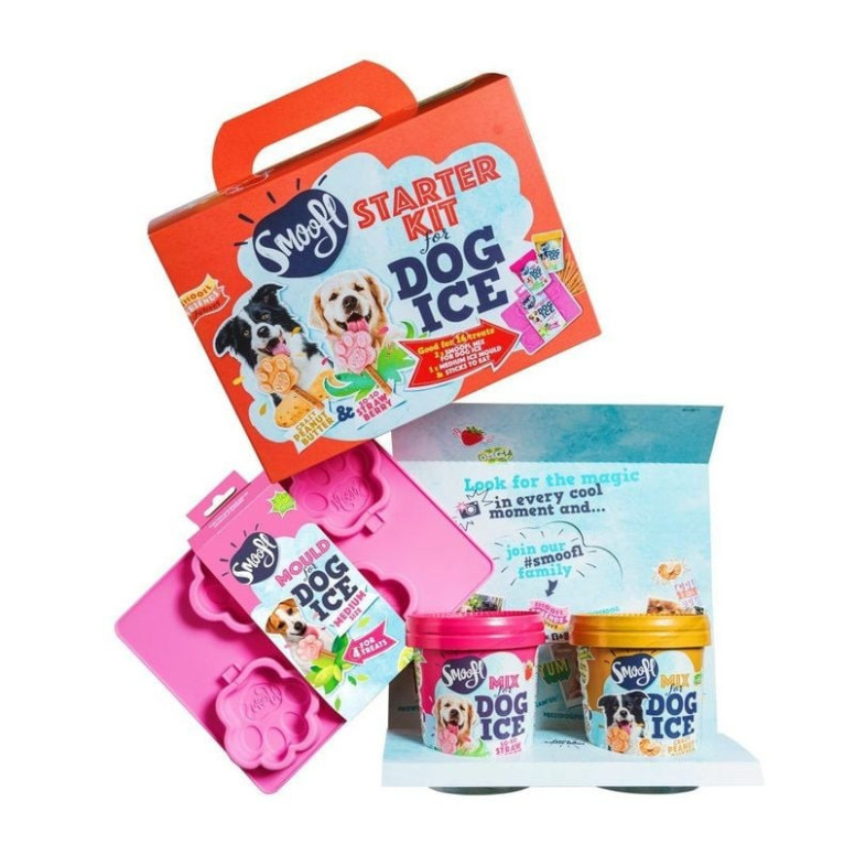 Kit Smoofl Glaces Chien Moyen : 2 saveurs + moule patte