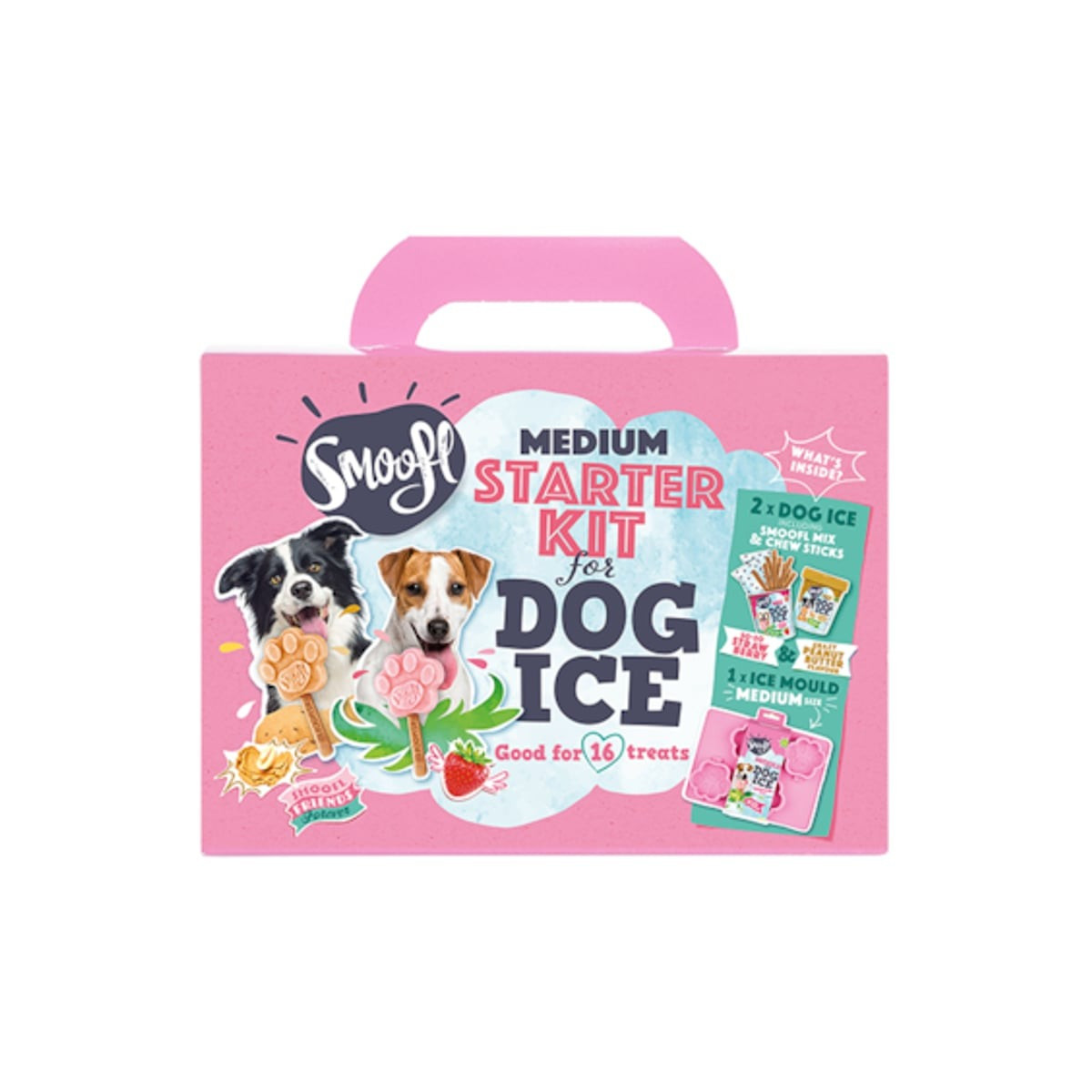 Kit Smoofl Glaces Chien Moyen : 2 saveurs + moule patte