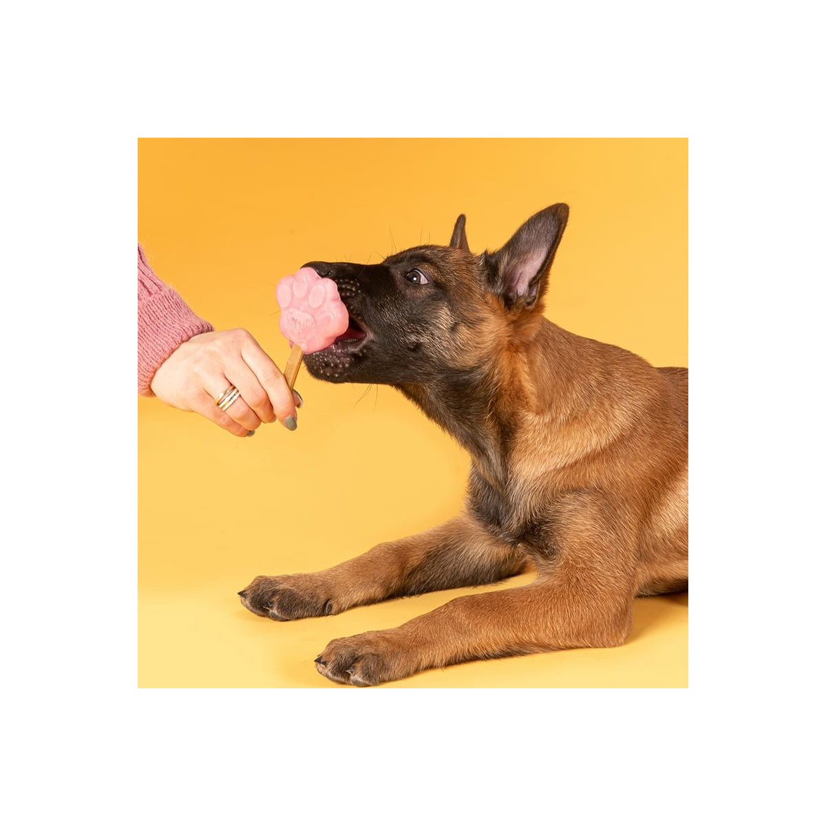 Kit Smoofl Glaces Chiots : 2 saveurs + moule - Récompenses apaisantes