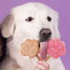 Kit Smoofl Glace Chien Grand - 2 Goûts + Moule Patte