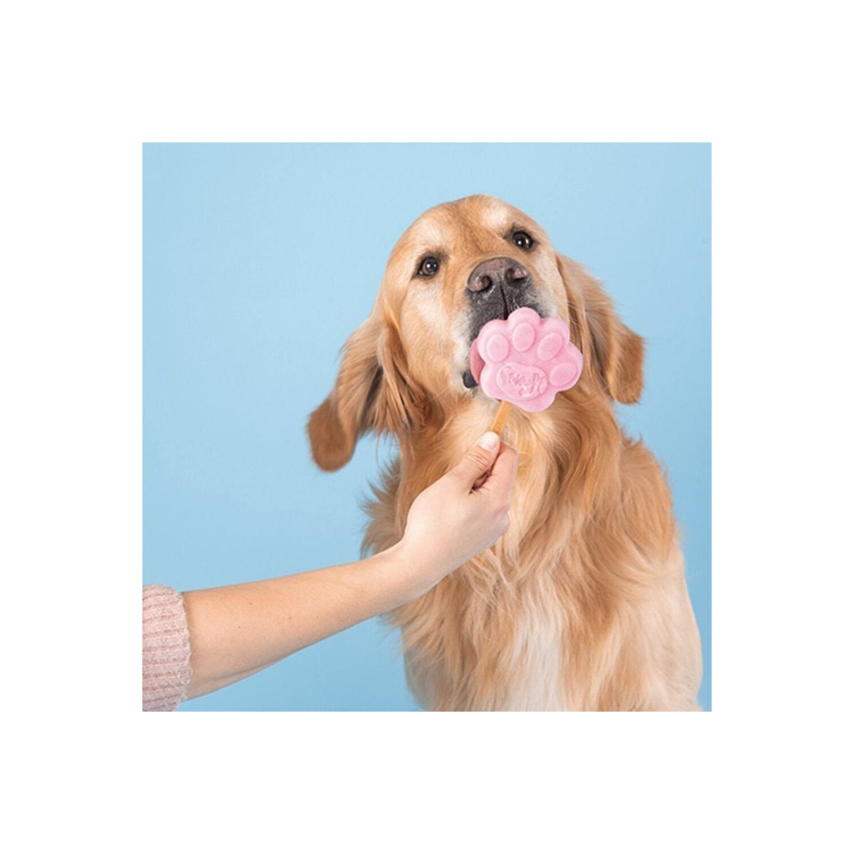Kit Smoofl Glace Chien Grand - 2 Goûts + Moule Patte