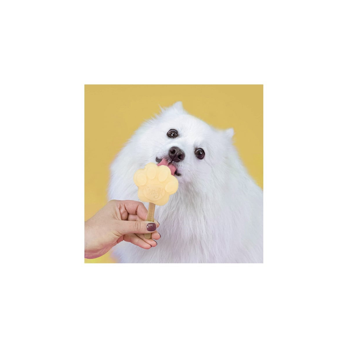 Kit Smoofl Glaces Chien Petit - 2 Saveurs + Moule Patte