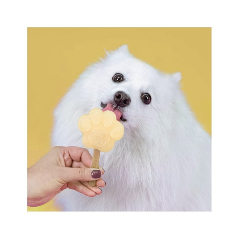 Kit Smoofl Glaces Chien Petit - 2 Saveurs + Moule Patte