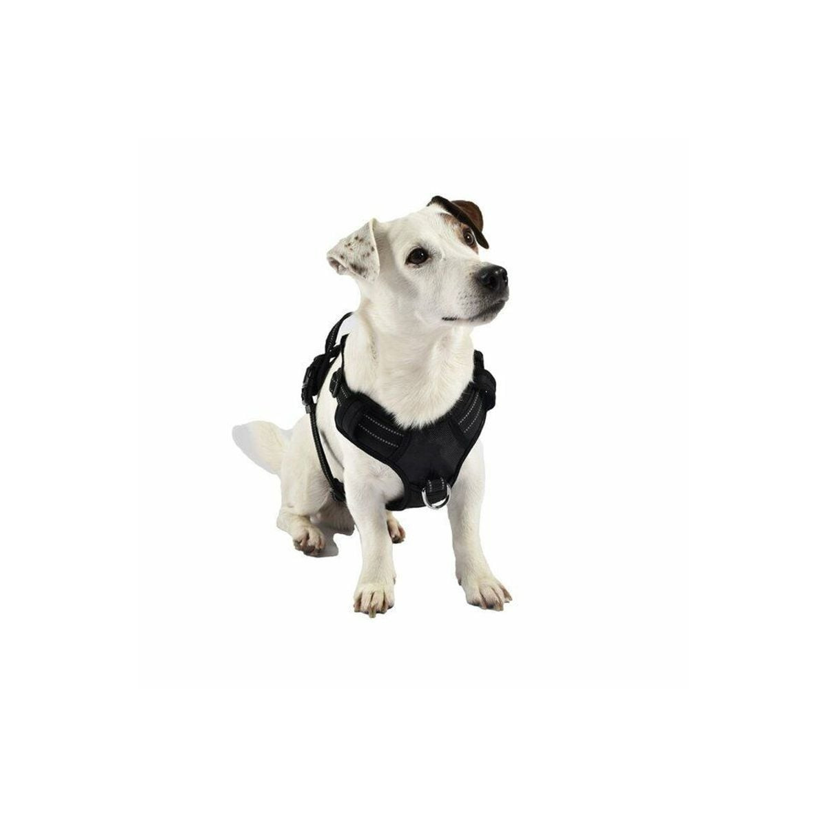 Harnais Croci Rando Walk gris - Anti-traction pour chien 32-48cm