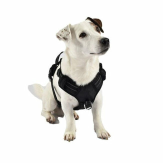 Harnais Croci Rando Walk gris - Anti-traction pour chien 32-48cm