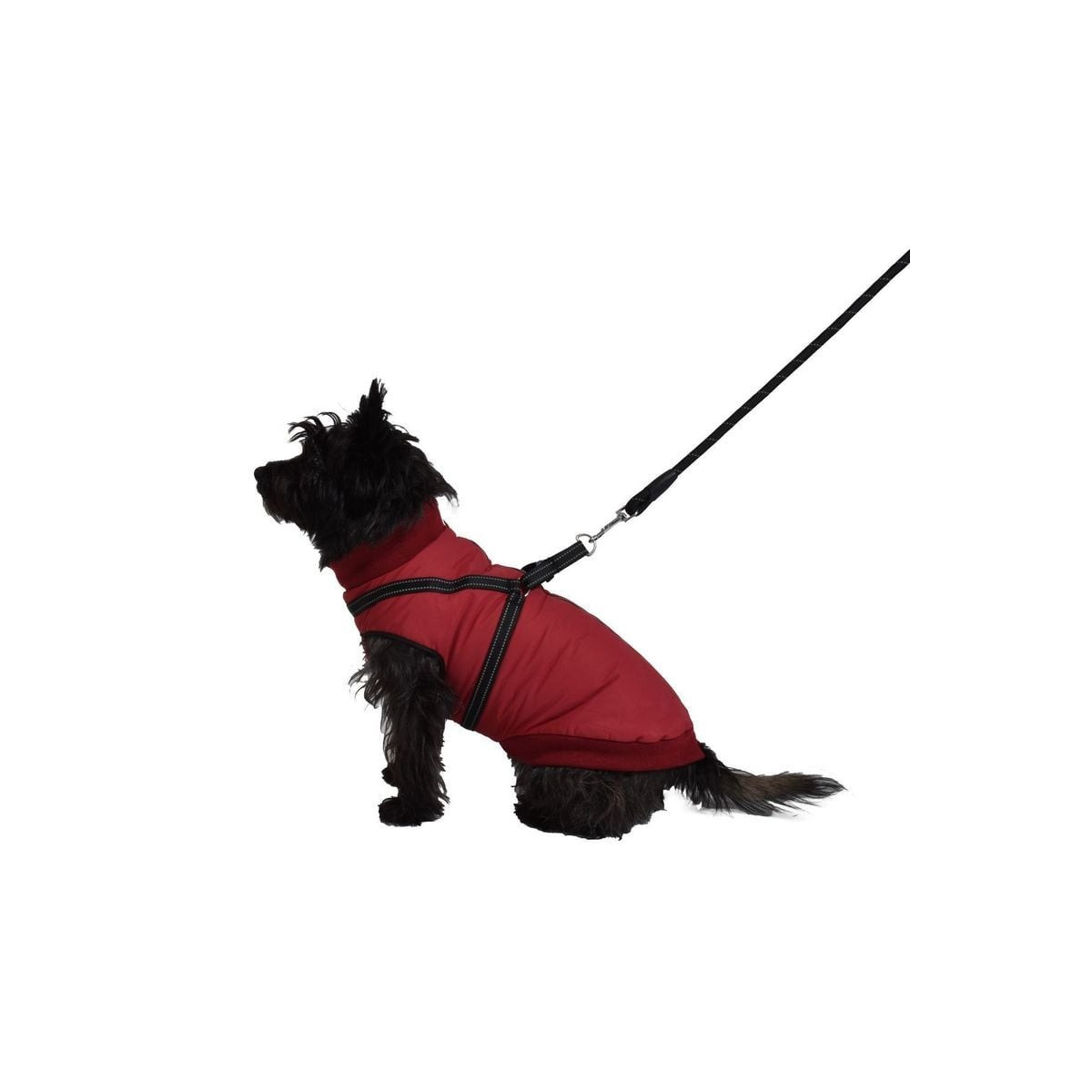 Manteau bomber Croci Bobby Easy - Harnais intégré pour chien 30S