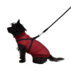 Manteau bomber Croci Bobby Easy - Harnais intégré pour chien 30S