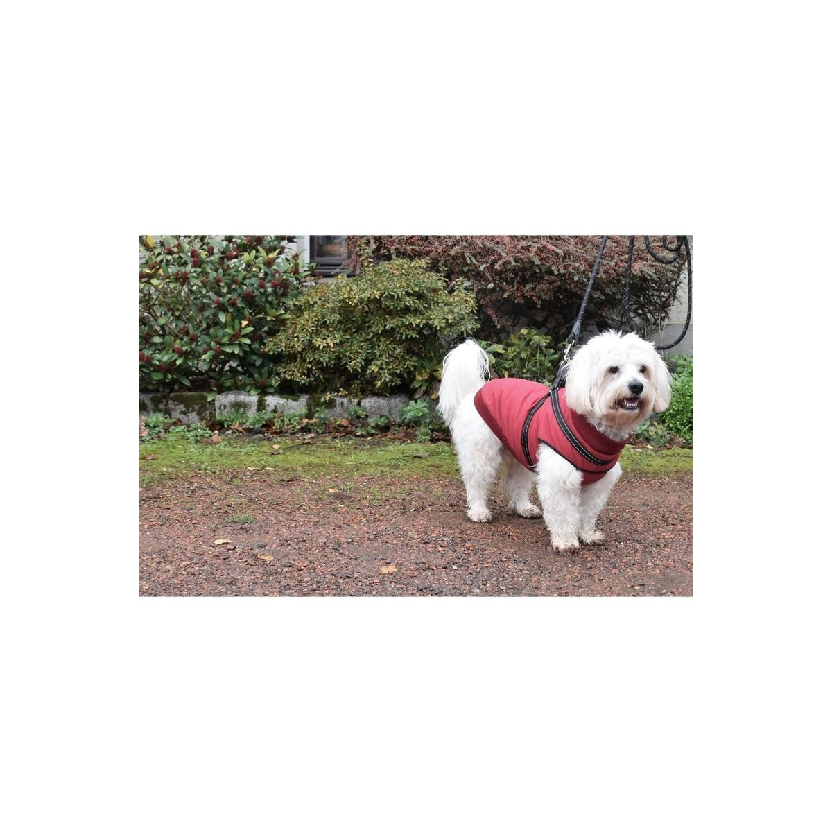 Manteau chien CROCI Easy marron - Confort & sécurité hiver