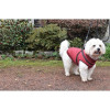 Manteau CROCI Bobby Easy bomber imperméable chien - Taille 38M