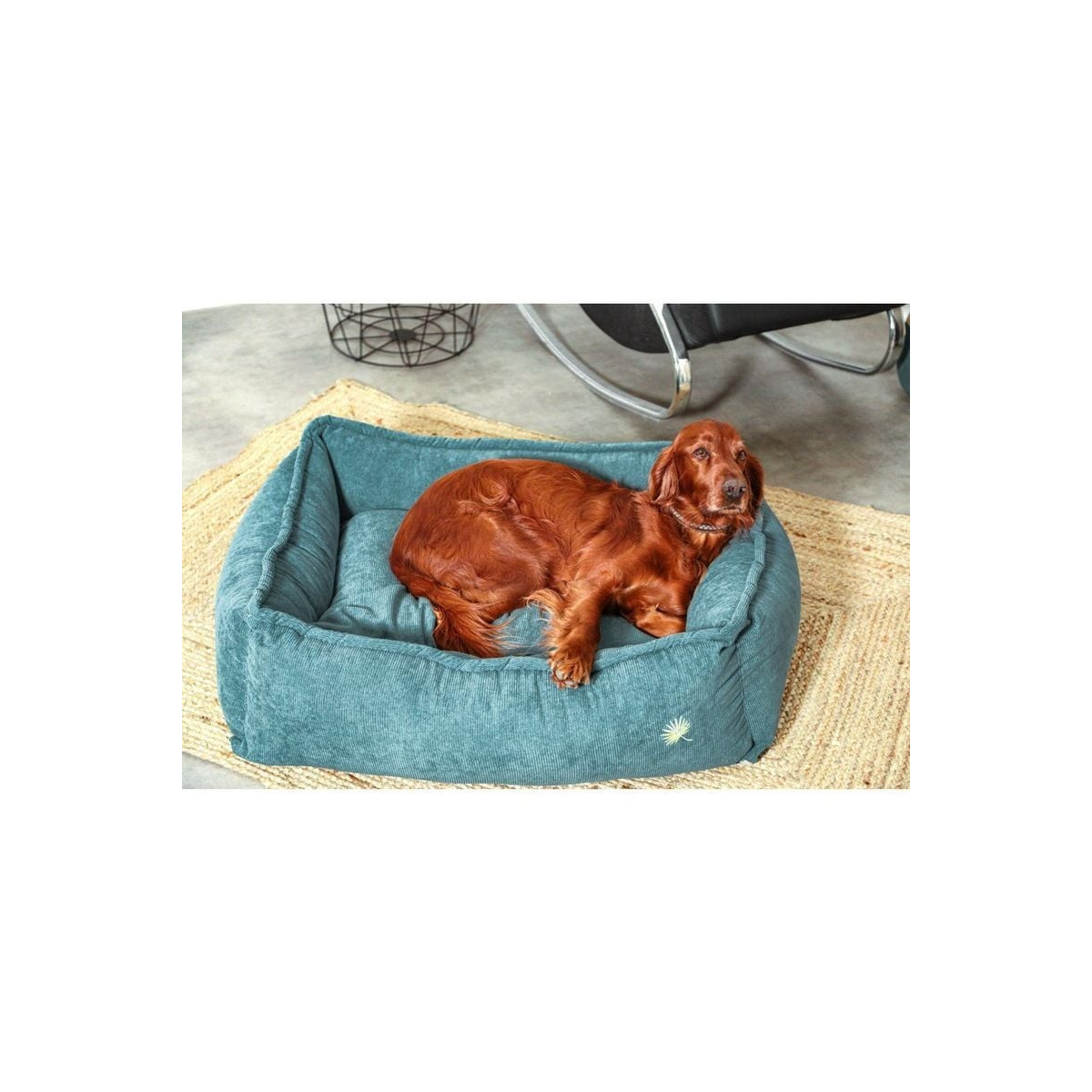 Corbeille lounge Zolux Toscane bleu - Confort chien & chat (80cm)