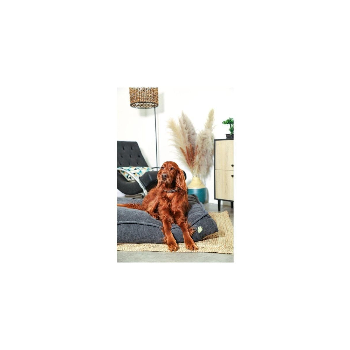 Coussin Zolux Toscane gris déhoussable 110cm - Confort chien & chat