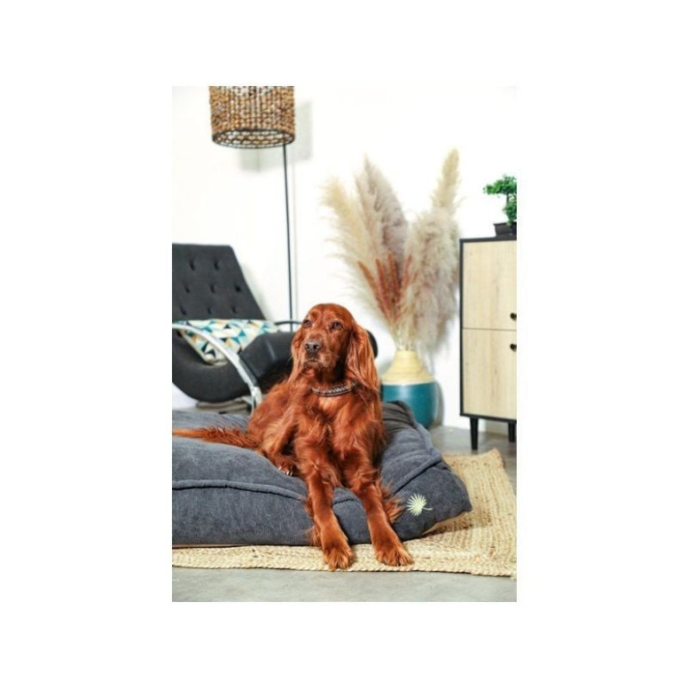 Coussin Zolux Toscane gris déhoussable 110cm - Confort chien & chat