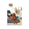 Coussin Zolux Toscane gris déhoussable 110cm - Confort chien & chat