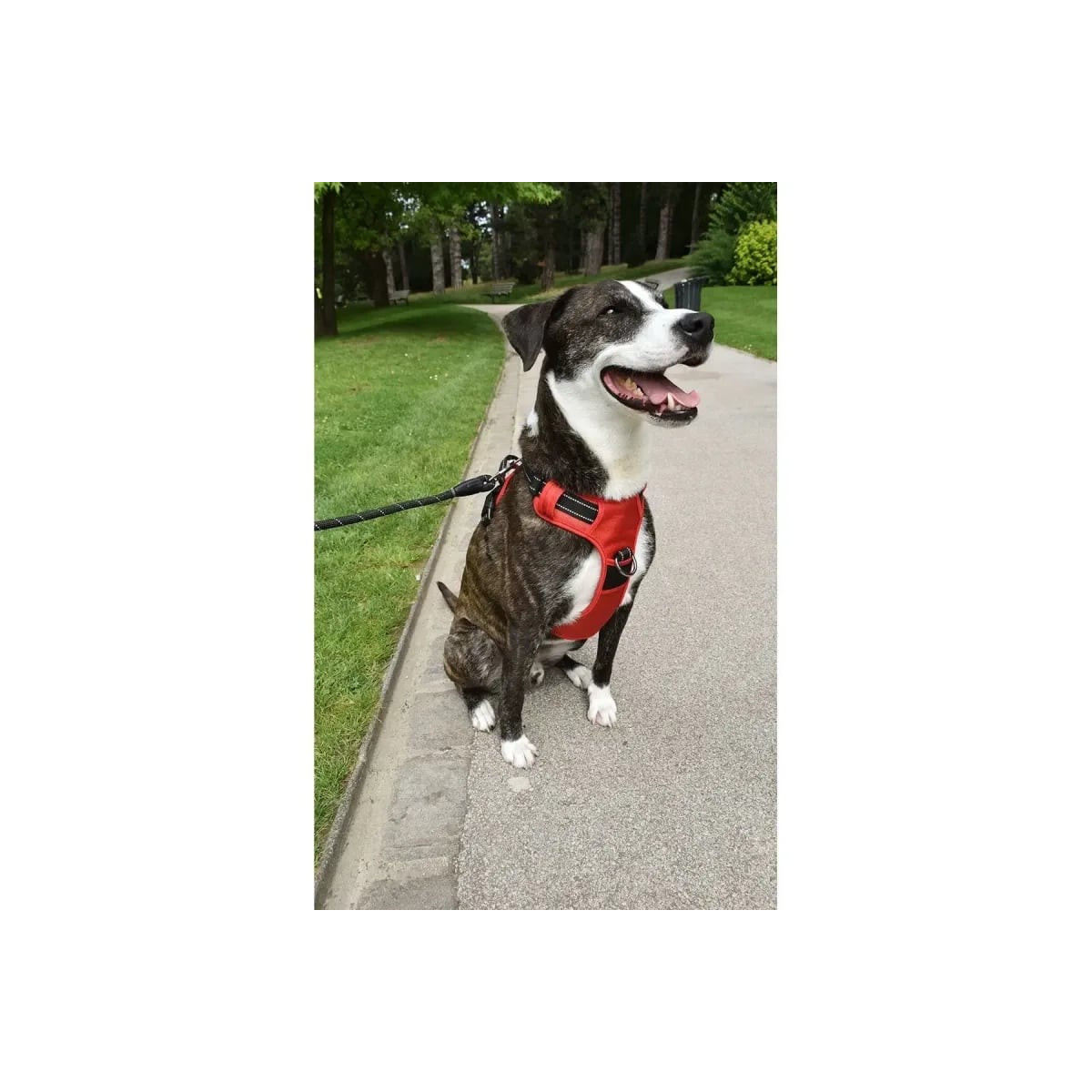 Harnais Croci Rando Walk S rouge : Anti-traction pour chien (32-48cm)
