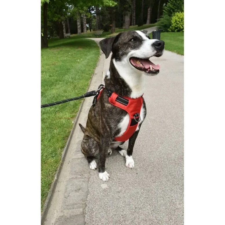 Harnais Croci Rando Walk S rouge : Anti-traction pour chien (32-48cm)