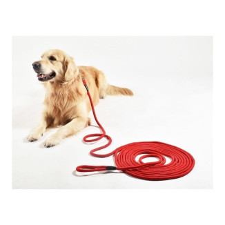 CROCI Walk 5m orange : antidérapante et réfléchissante pour chien