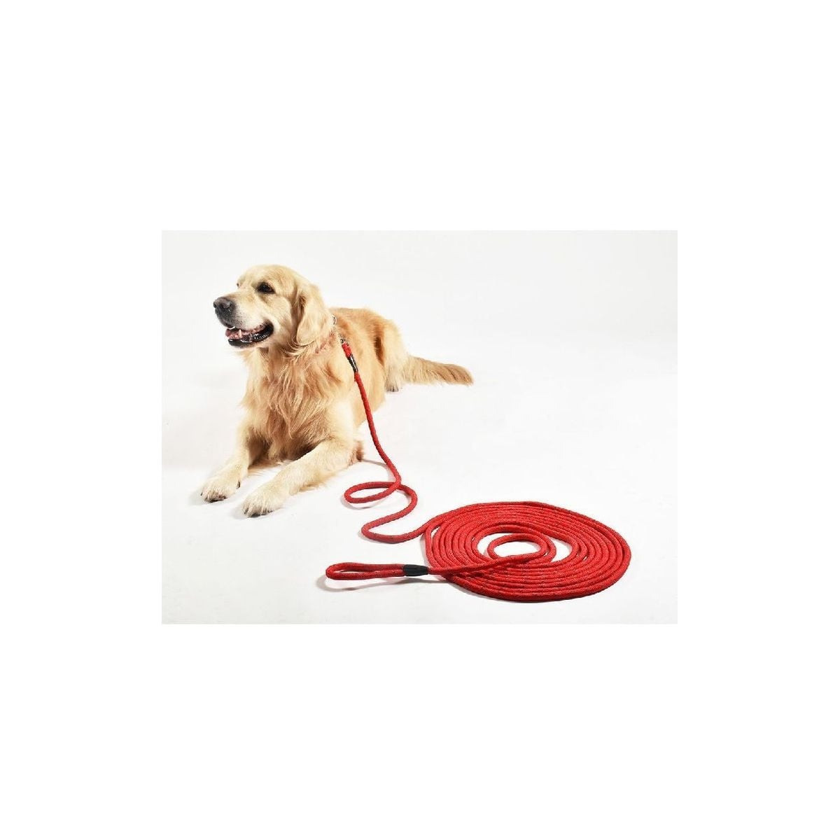 Longe Croci 5m rouge : idéale pour randonnée et chiens qui tirent