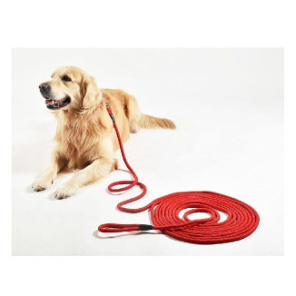 Longe Croci 5m rouge : idéale pour randonnée et chiens qui tirent