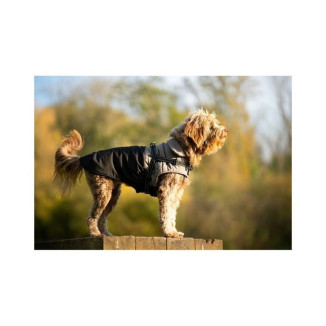 Manteau Croci Tour Noir 34S : Chaleur & sécurité pour chien