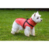 Manteau Croci Tom Corail 25XS - Chaud & imperméable pour petits chiens