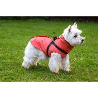 Manteau Croci Tom Corail - Imperméable chien néoprène taille S