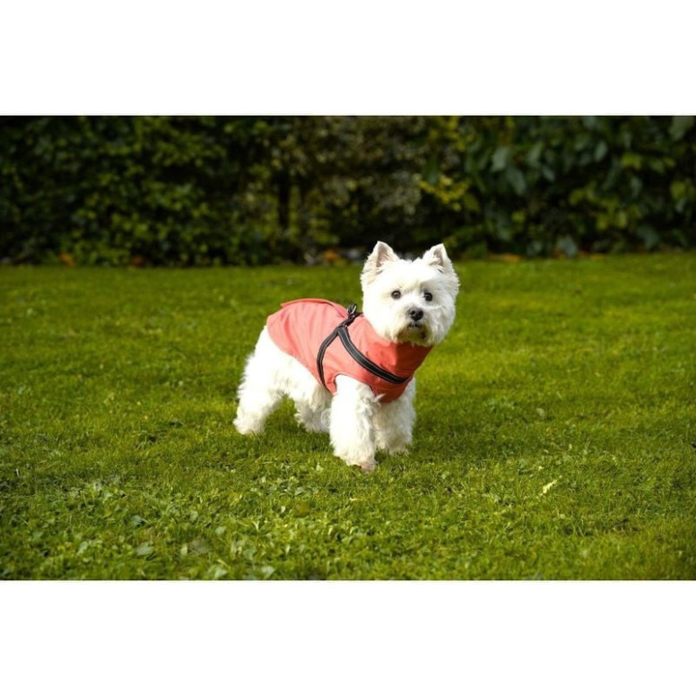 Manteau Croci Tom chien corail - Imperméable néoprène 44L