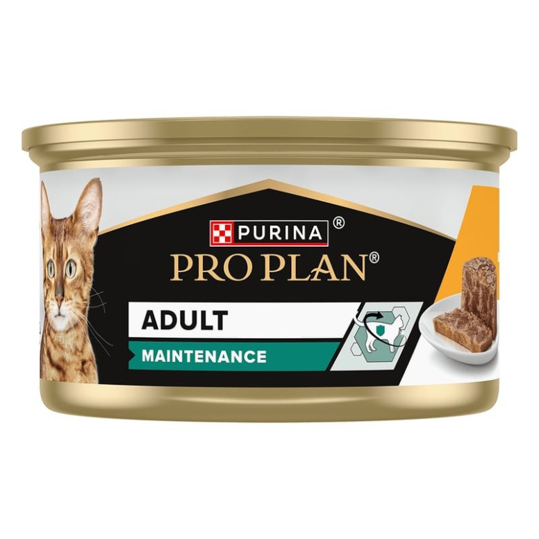 Proplan pâtée chat adulte poulet terrine 85g - Nutrition optimale