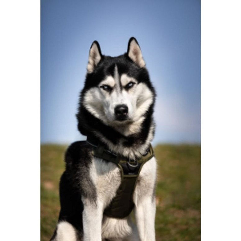 Harnais Croci Rando Walk kaki : anti-traction pour chiens