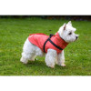 Manteau Croci hiver chien corail 38M - Imperméable & réfléchissant
