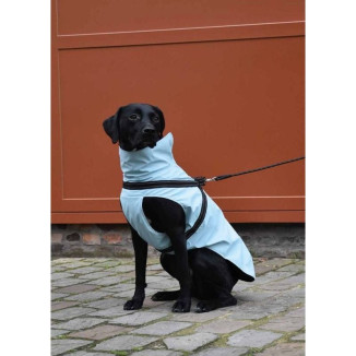 Manteau Croci Tom imperméable bleu glacier - Chien 32S