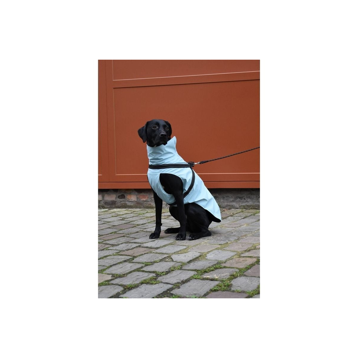 Manteau Croci Tom imperméable bleu glacier - 60XL pour chien
