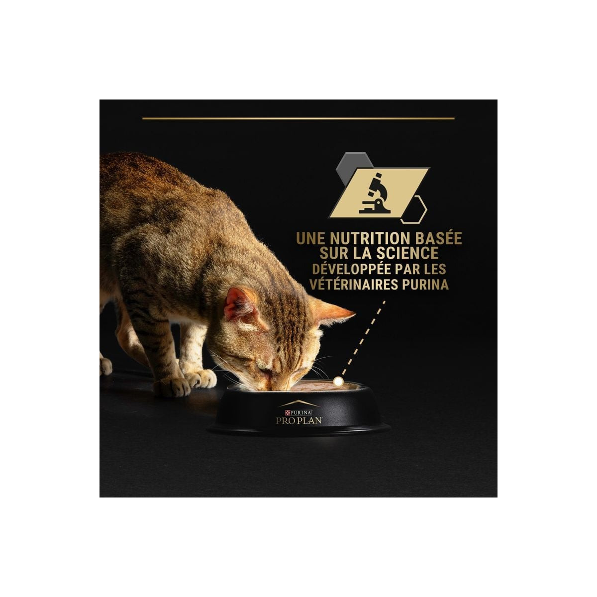 Pâtée PROPLAN senior thon 85g : santé rénale et texture mousse