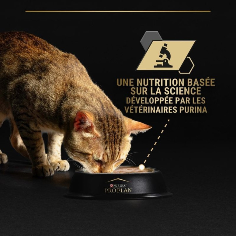 Pâtée PROPLAN senior thon 85g : santé rénale et texture mousse
