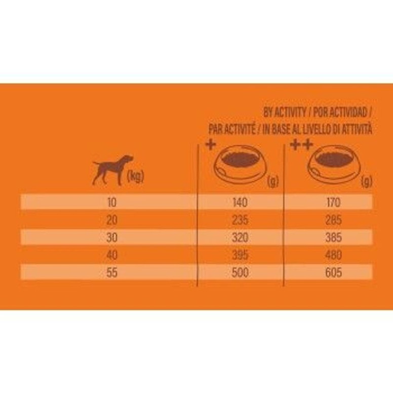 Croquettes Chien Adulte Dinde 10kg - Healthy Grain & Peau Brillante